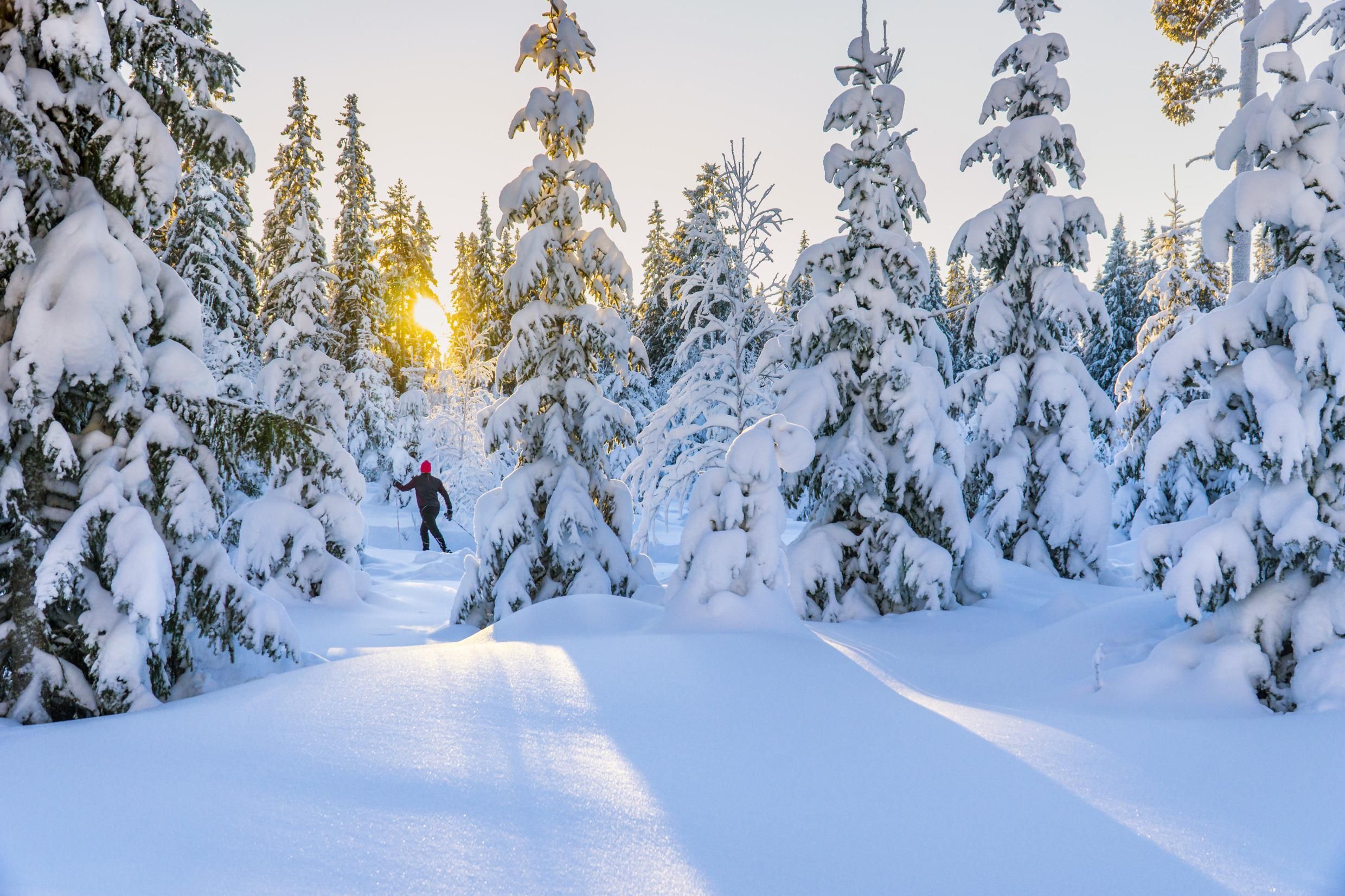 sweden winter sjkiing.jpg