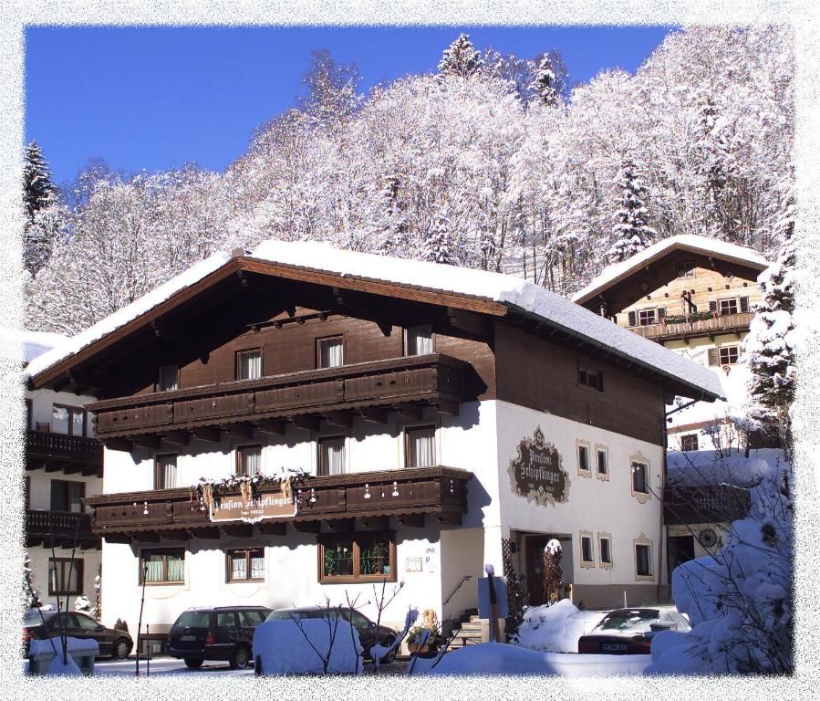 Pension Schipflinger Featured Image