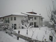 Haus Dorothea Featured Image